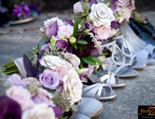 Events at Sapphire Creek Wedding | Erin & Buddy | FamZing Photography