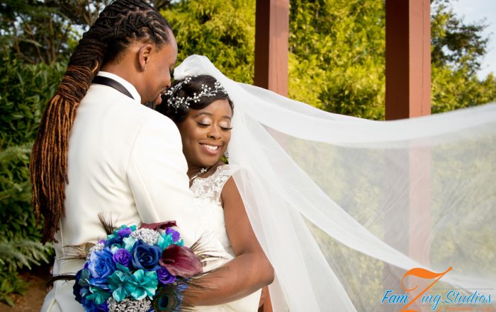 Embassy Suites | Parsh + Tiffany