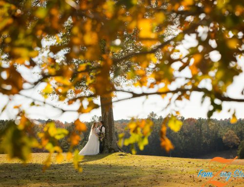 Sunset Farms Wedding | Ashley + Andrew