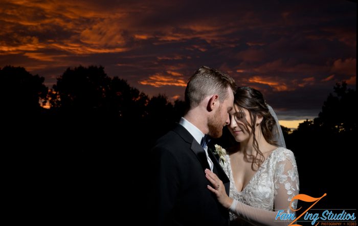 Anderson Arts Center | Katelyn + Hayden
