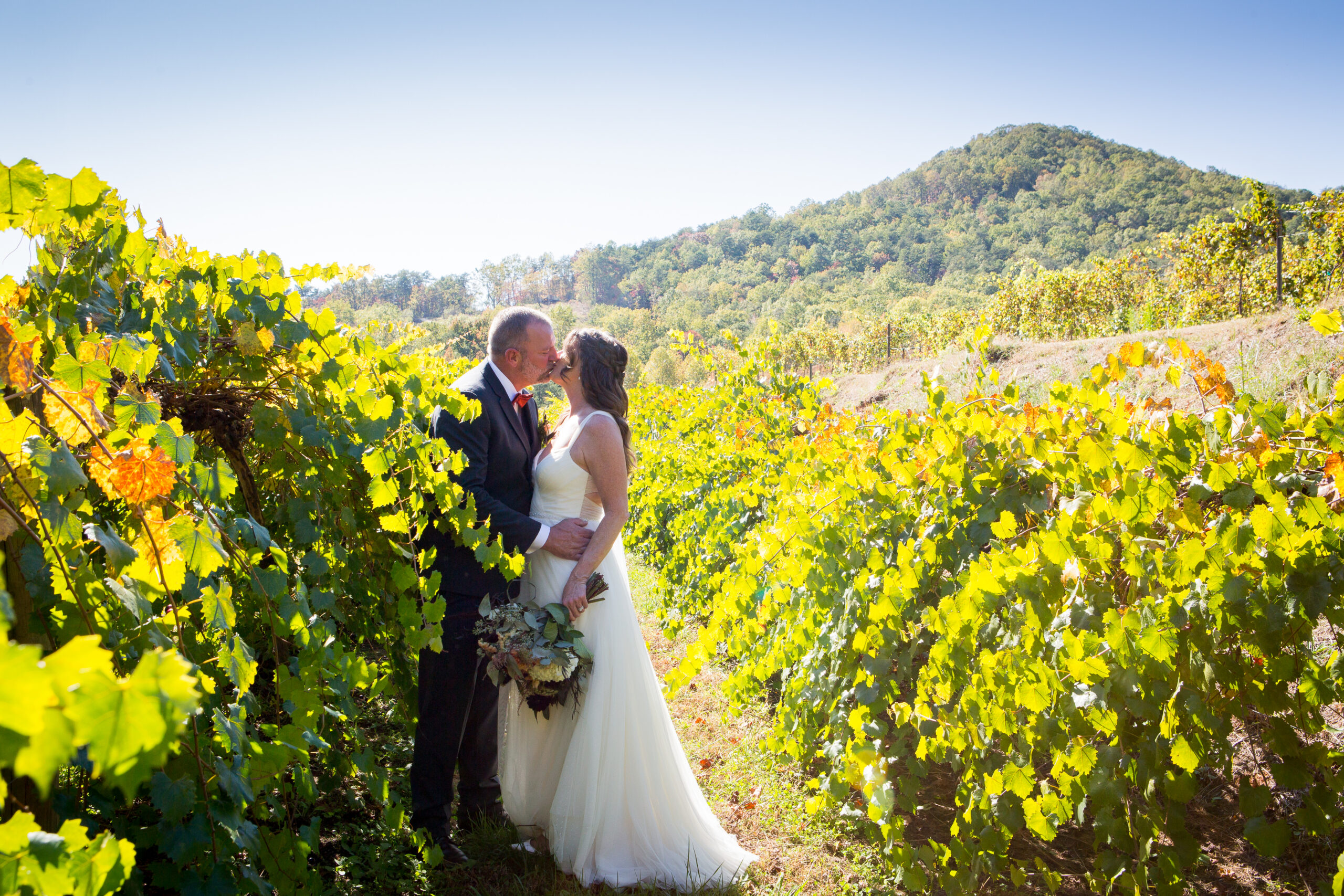 Victoria Valley Vineyard Wedding